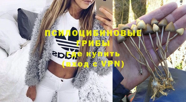 PSILOCYBIN Лагань