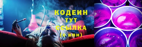 индика Ладушкин