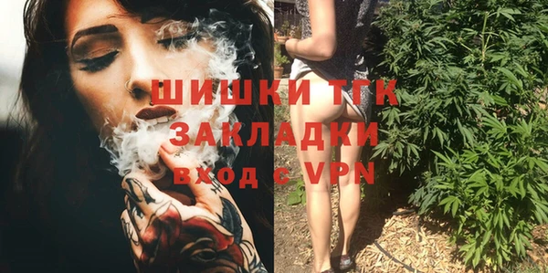 индика Ладушкин