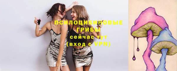 PSILOCYBIN Лагань