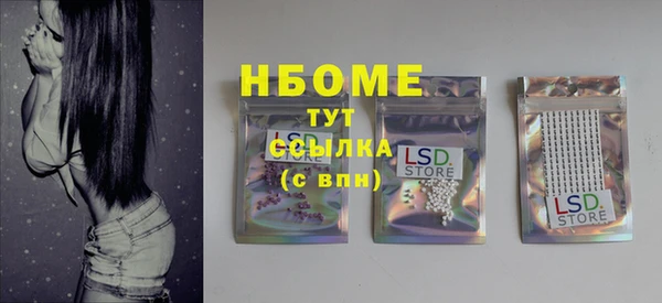 индика Ладушкин