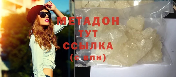 индика Ладушкин