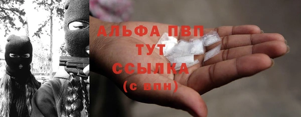 PSILOCYBIN Лагань