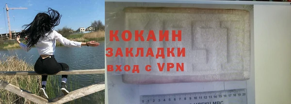 индика Ладушкин