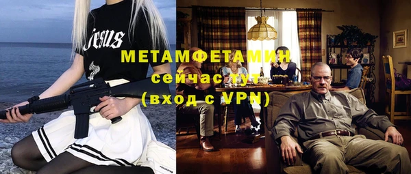 индика Ладушкин