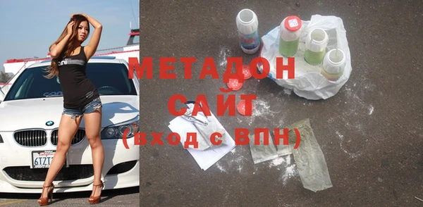 индика Ладушкин