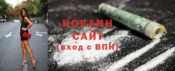 индика Ладушкин