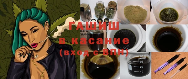 индика Ладушкин