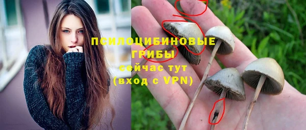 стафф Кукмор