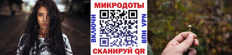Купить где  Чулым  Галлюциногенные грибы GOLDEN TEACHER 