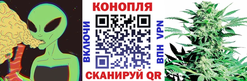 Шишки марихуана сатива  Купить  Чулым 